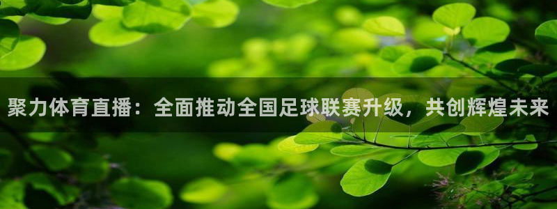 足球绿茵直播：聚力体育直播：全面推动全国足球联赛升级，共创辉煌未来