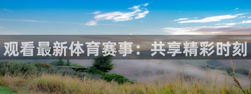 绿茵nba直播：观看最新体育赛事：共享精彩时刻