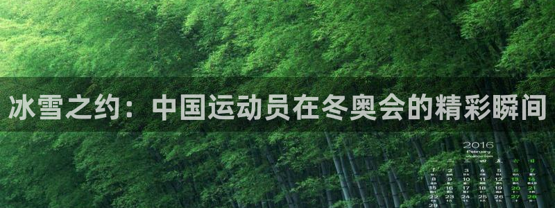 绿茵足球直播免费观看直播：冰雪之约：中国运动员在冬奥会的精彩瞬间