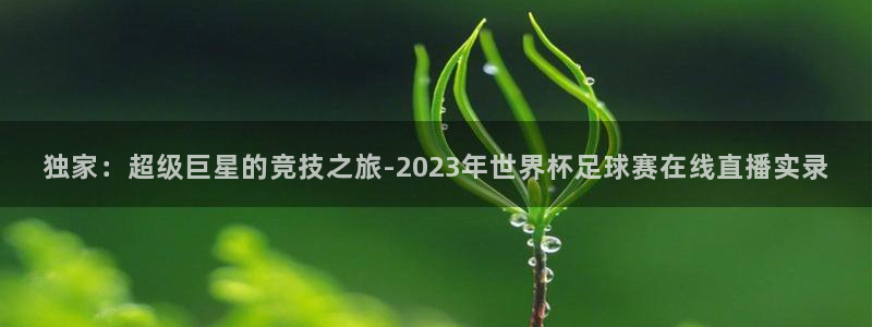 绿茵体育app手机版官方下载：独家：超级巨星的竞技之旅-2023年世界杯足球赛在线直播实录