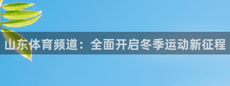 绿茵篮球直播在线观看：山东体育频道：全面开启冬季运动新征程