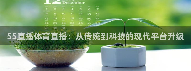 绿茵直播免费看球直播：55直播体育直播：从传统到科技的现代平台升级