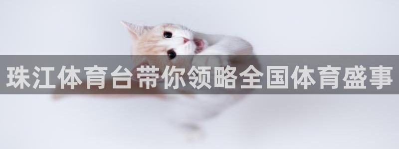 绿茵直播足球：珠江体育台带你领略全国体育盛事