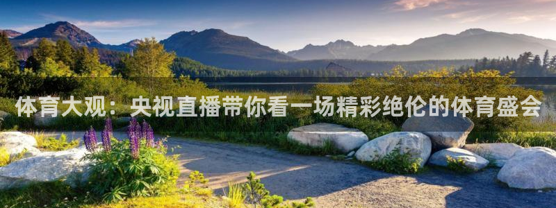 东京绿茵足球：体育大观：央视直播带你看一场精彩绝伦的体育盛会