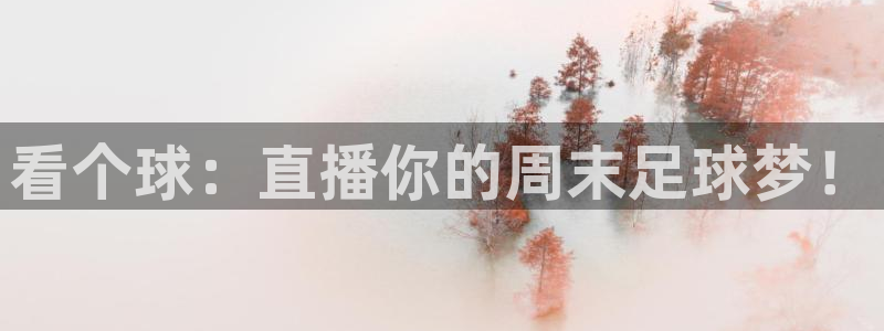 绿茵直播体育免费观看lyzb：看个球：直播你的周末足球梦！