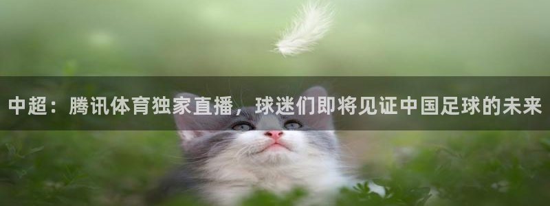 绿茵直播免费看球：中超：腾讯体育独家直播，球迷们即将见证中国足球的未来