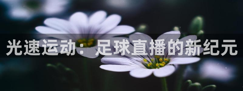 足球]绿茵魔术师：光速运动：足球直播的新纪元