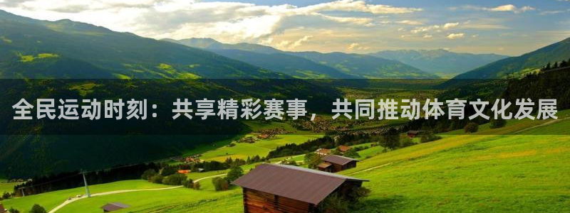 绿茵直播免费看球：全民运动时刻：共享精彩赛事，共同推动体育文化发展