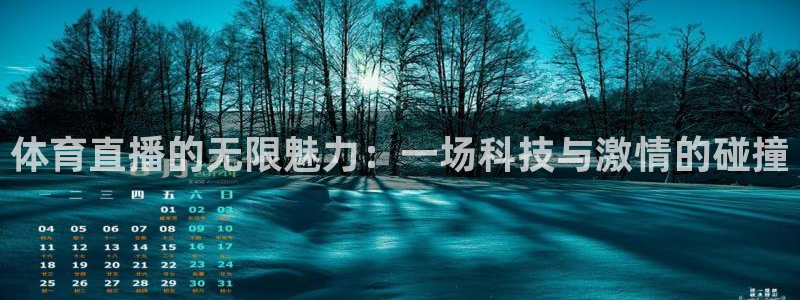 绿茵直播体育app下载：体育直播的无限魅力：一场科技与激情的碰撞
