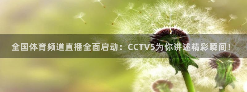 足球:无敌之全能绿茵巨星：全国体育频道直播全面启动：CCTV5为你讲述精彩瞬间！