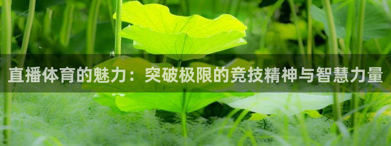 绿茵体育直播lyzb：直播体育的魅力：突破极限的竞技精神与智慧力量