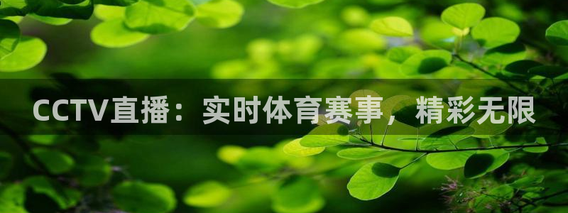 绿茵直播球赛在线观看：CCTV直播：实时体育赛事，精彩无限