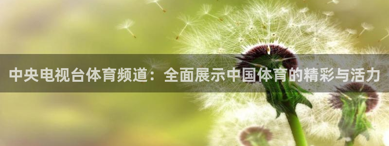 绿茵体育app官网入口：中央电视台体育频道：全面展示中国体育的精彩与活力
