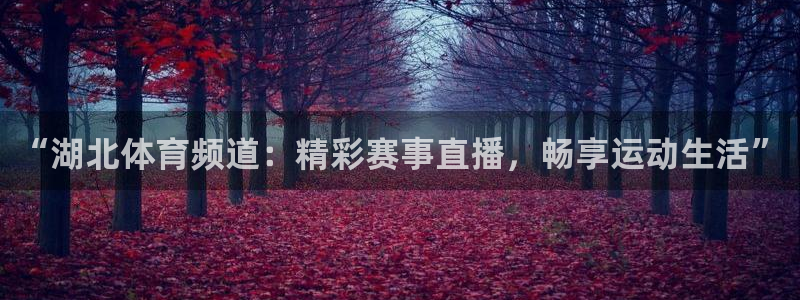 绿茵直播：“湖北体育频道：精彩赛事直播，畅享运动生活”